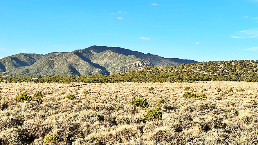 Elevate Your Altitude With 5+ac land in Sangre De Cristo Ranches, Co
